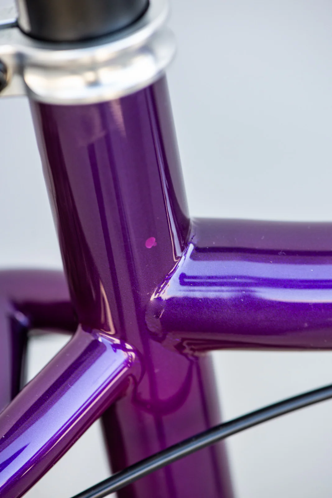 Purpilicious Primer - Image 5