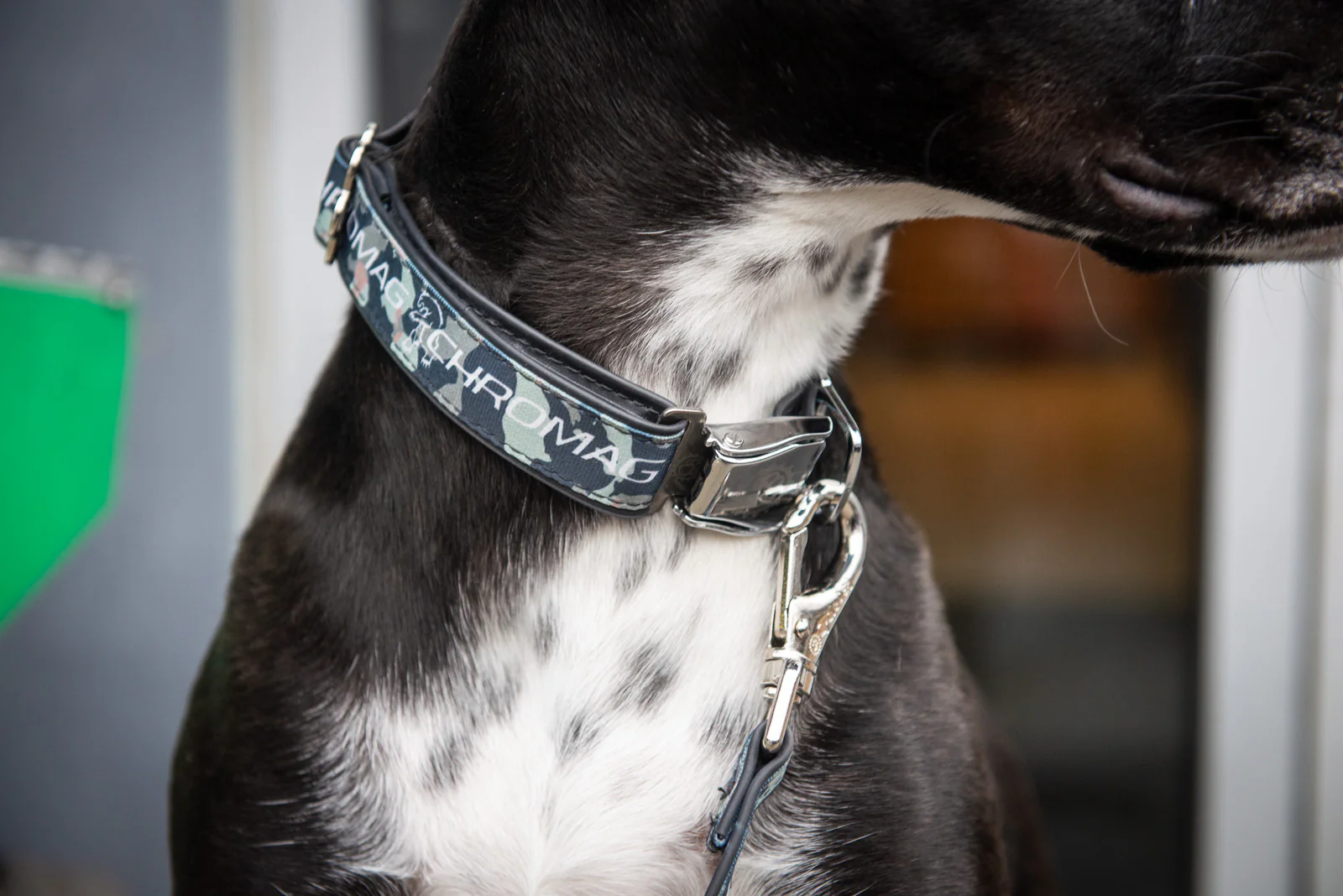 Dog Leash - Image 6