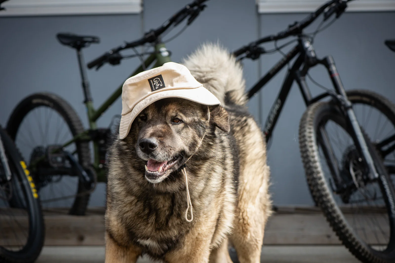 Echo Beach Hat - Image 4