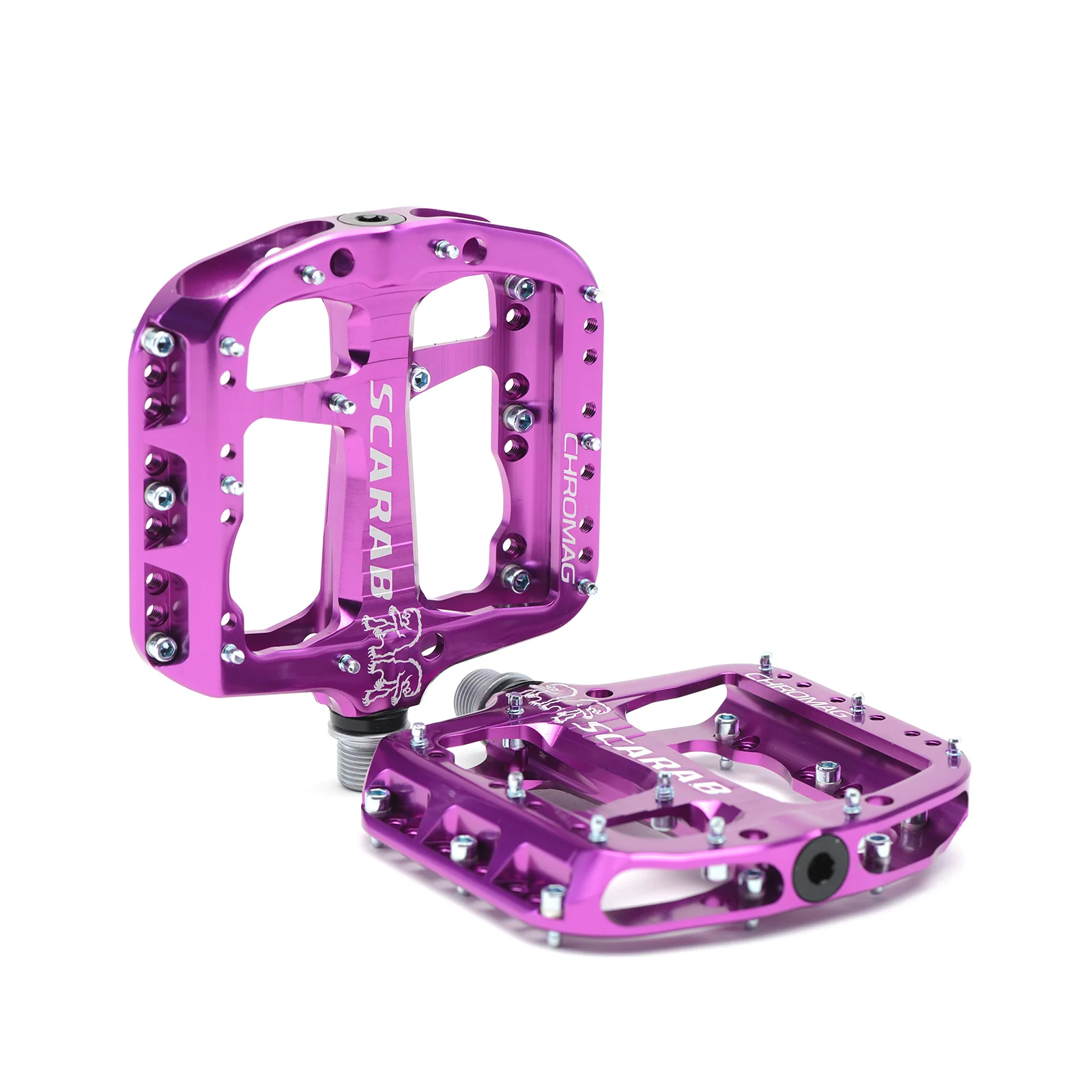 Scarab - Image 7