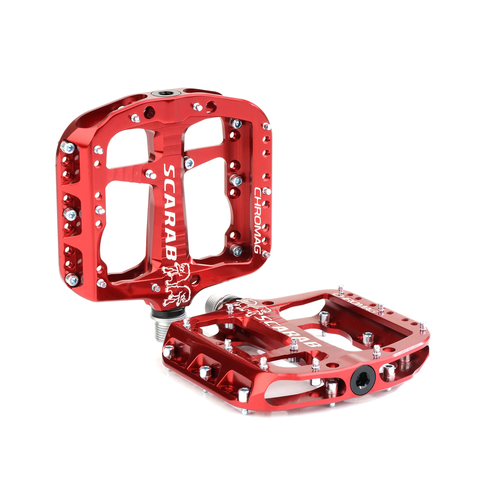 Scarab - Image 8